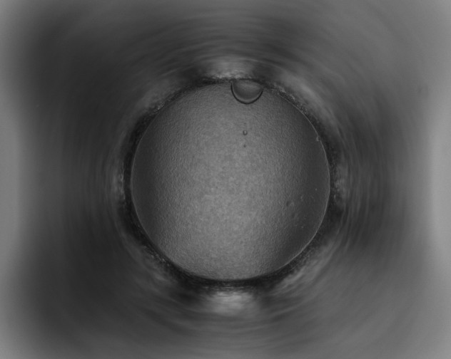 X0000093510547200710121533