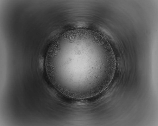 X0000093510550200710121533