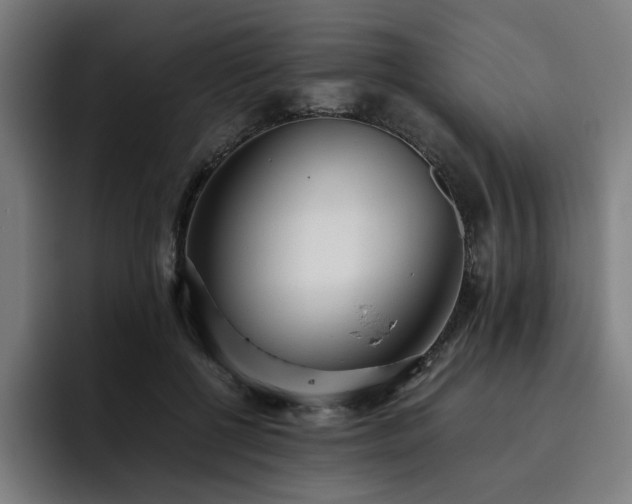 X0000093510552200710121533