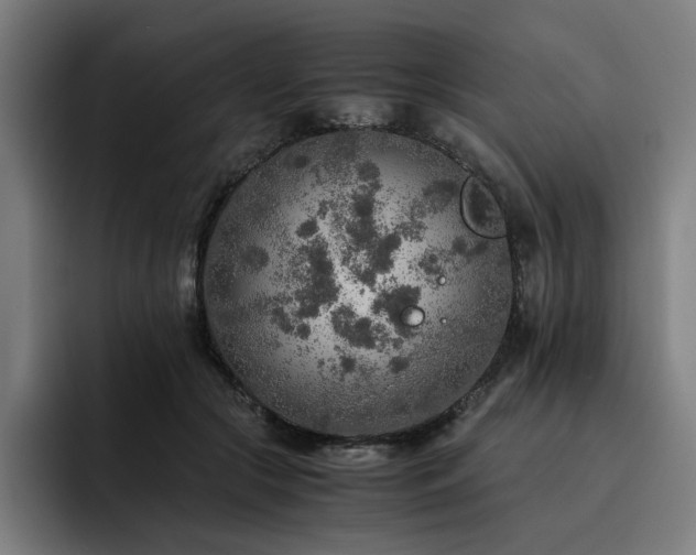 X0000093510553200710121533