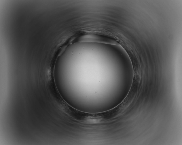 X0000093510556200710121533