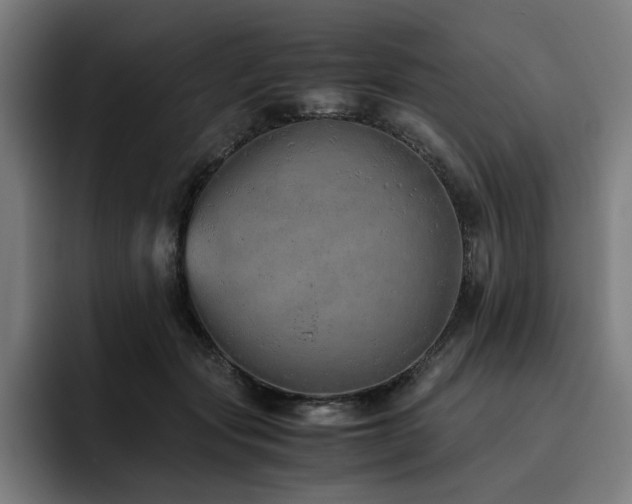 X0000093510557200710121533