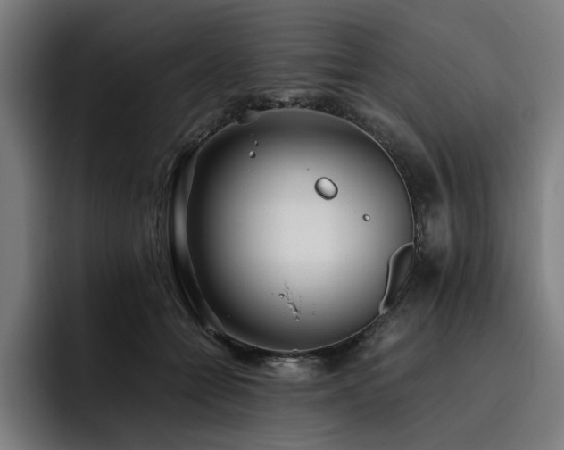X0000093510558200710121533
