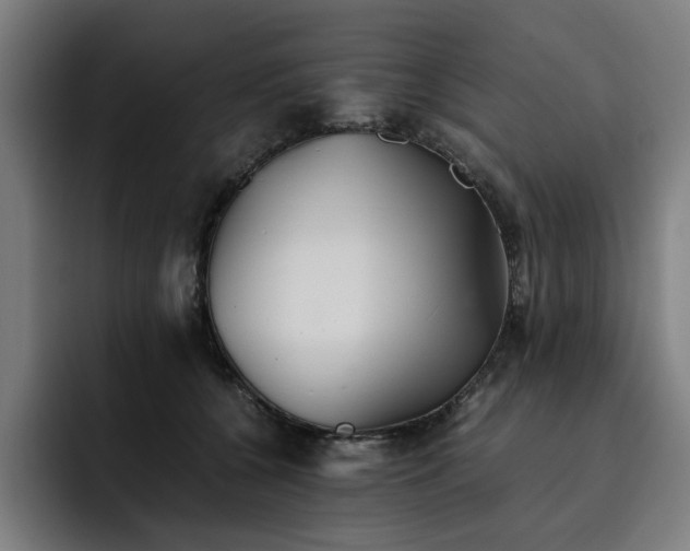 X0000093510560200710121533