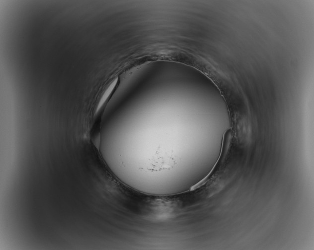 X0000093510562200710121533