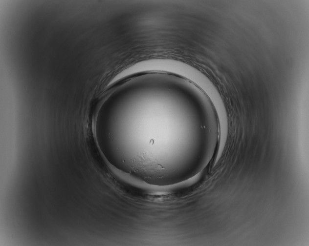 X0000093510564200710121533