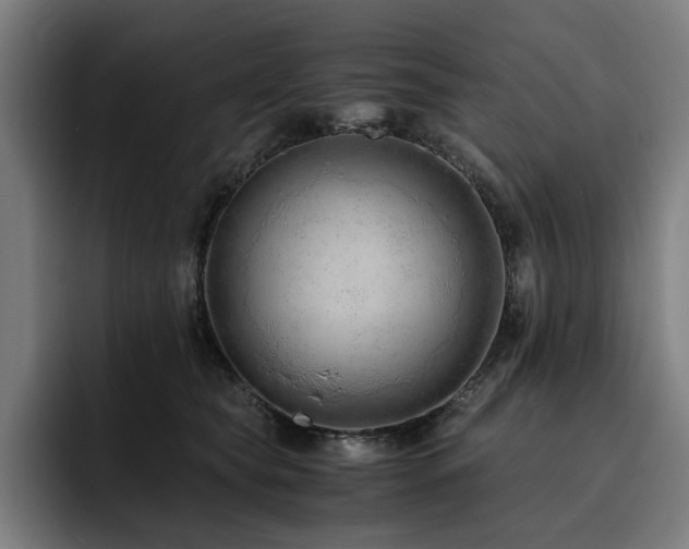 X0000093510565200710121533