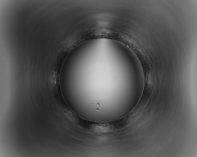 X0000093510567200710121533