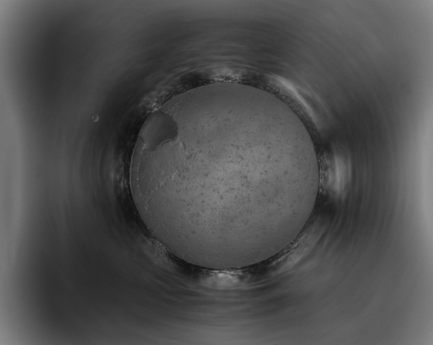 X0000093510573200710121533