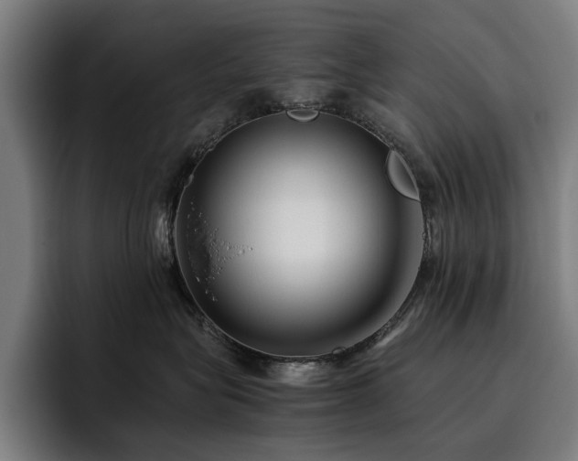 X0000093510575200710121534