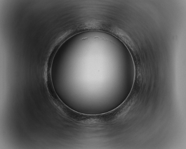 X0000093510578200710121533