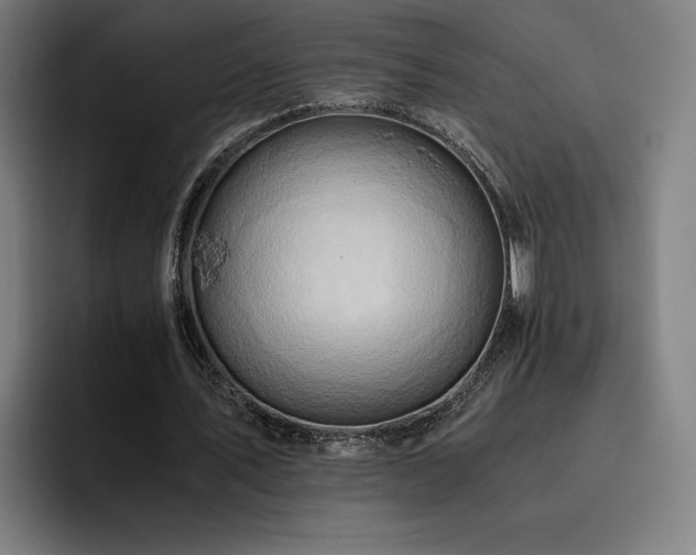 X0000093510579200710121533