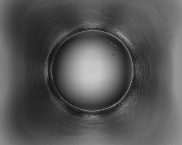 X0000093510582200710121533