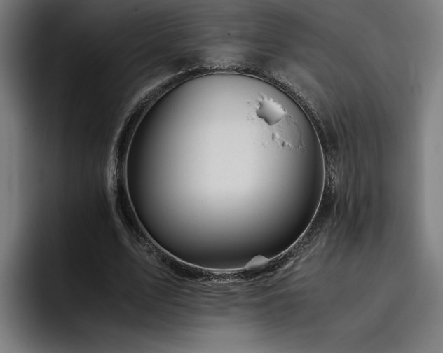 X0000093510583200710121533