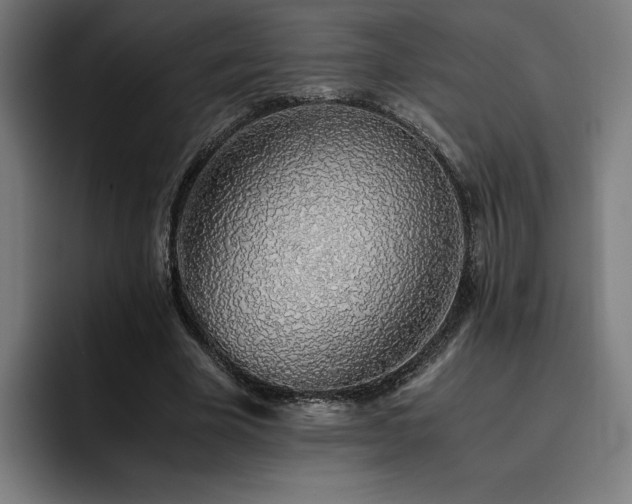 X0000093510585200710121533