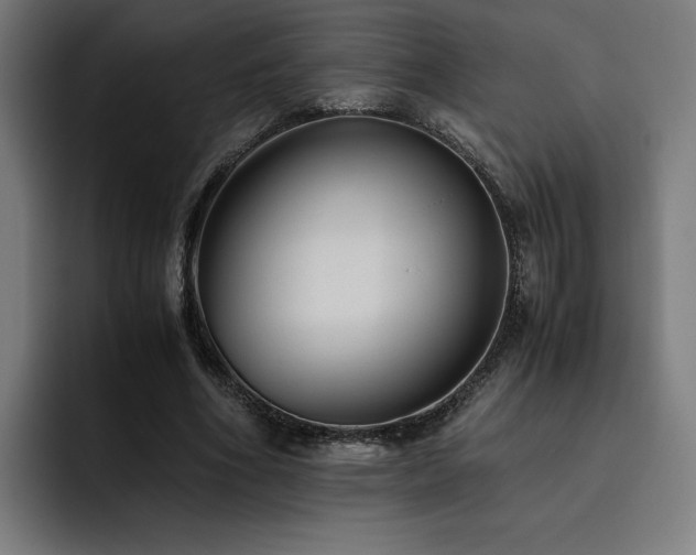 X0000093510586200710121533