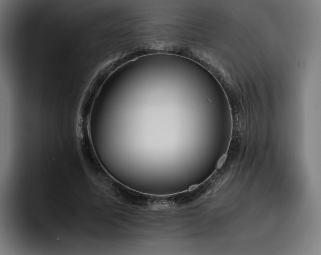 X0000093510587200710121533
