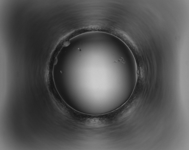 X0000093510588200710121533