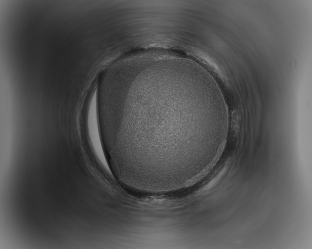 X0000093510589200710121533
