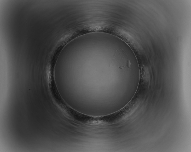 X0000093510590200710121533