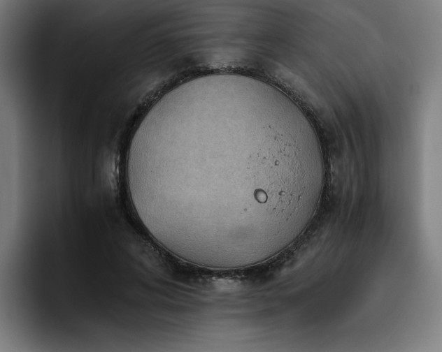 X0000093510592200710121533