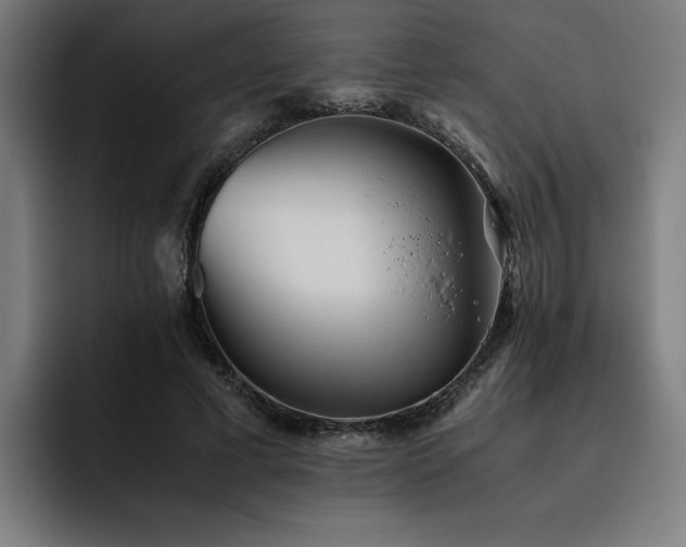 X0000093510593200710121533