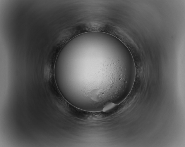 X0000093510599200710121533