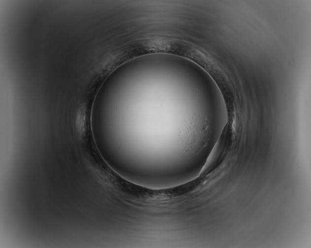 X0000093510600200710121533