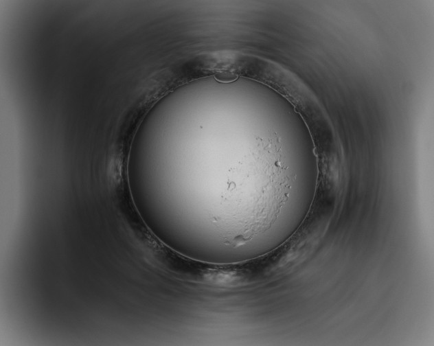 X0000093510602200710121533