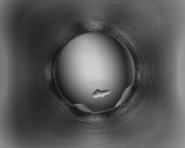 X0000093510604200710121533