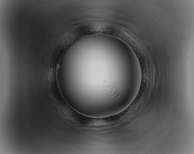 X0000093510605200710121533
