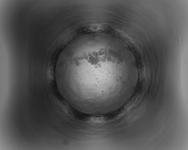 X0000093510606200710121533