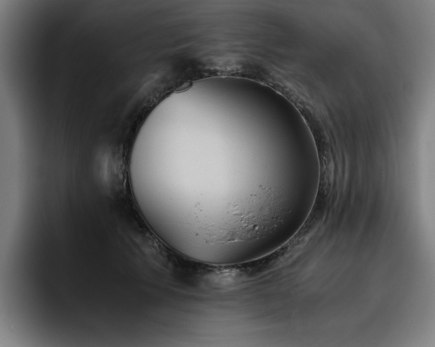 X0000093510609200710121533