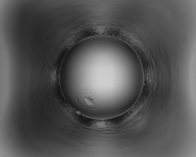 X0000093510611200710121533