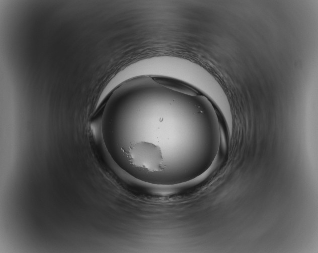 X0000093510613200710121533