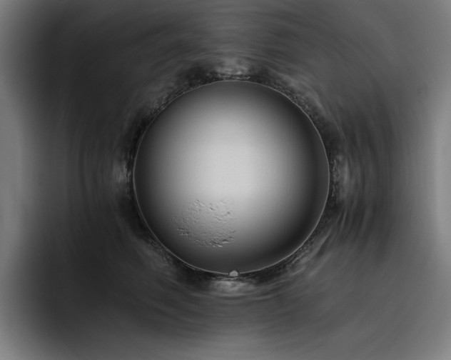 X0000093510614200710121533