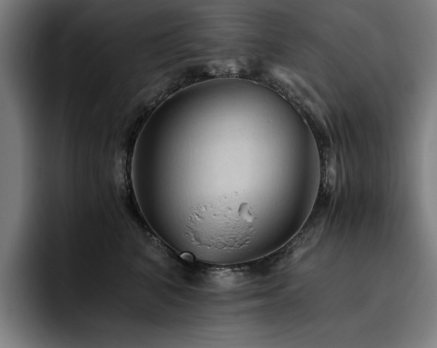 X0000093510616200710121533