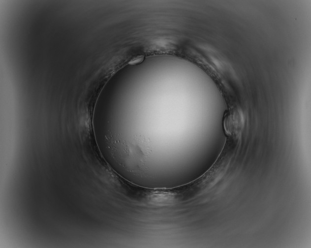 X0000093510617200710121533