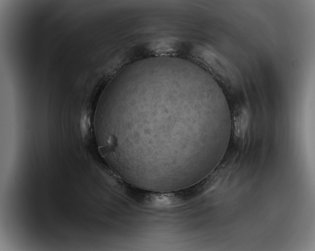 X0000093510618200710121532
