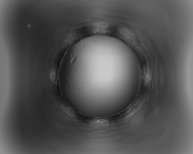X0000093510619200710121532