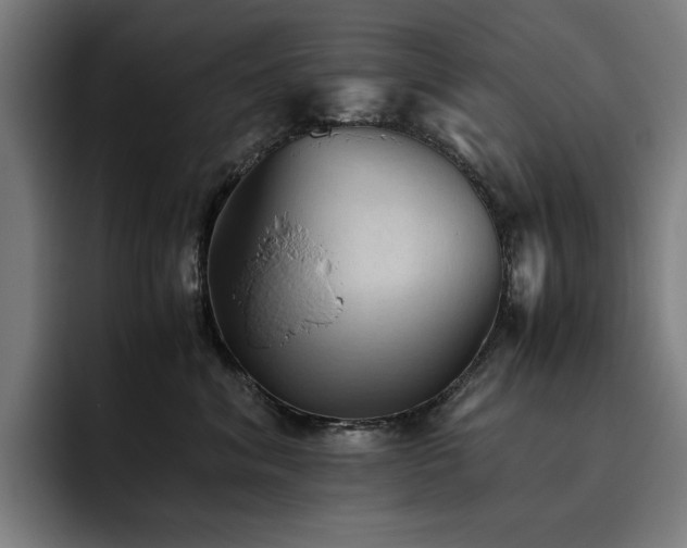X0000093510620200710121532