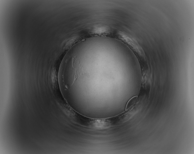 X0000093510623200710121532