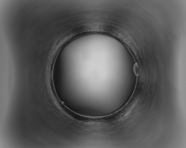 X0000093510625200710121532