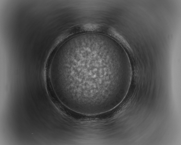 X0000093510626200710121532
