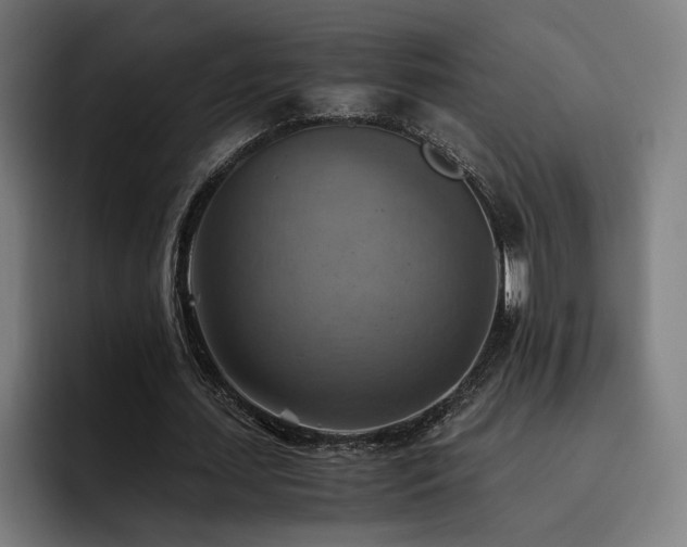 X0000093510627200710121532