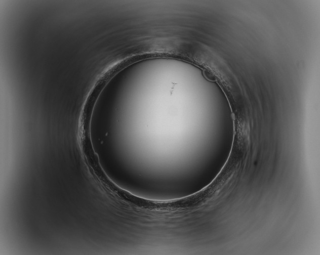X0000093510628200710121532