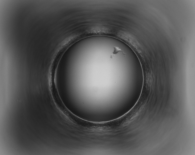X0000093510629200710121532