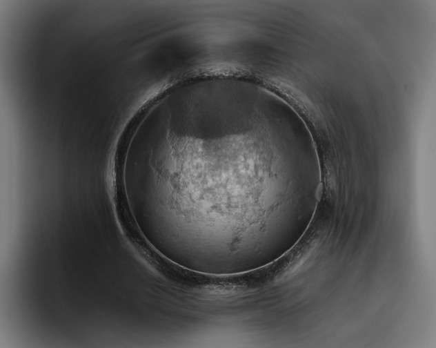 X0000093510630200710121532