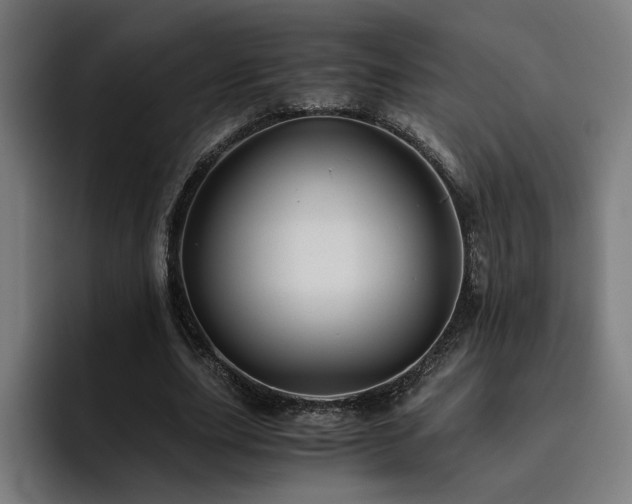 X0000093510631200710121532