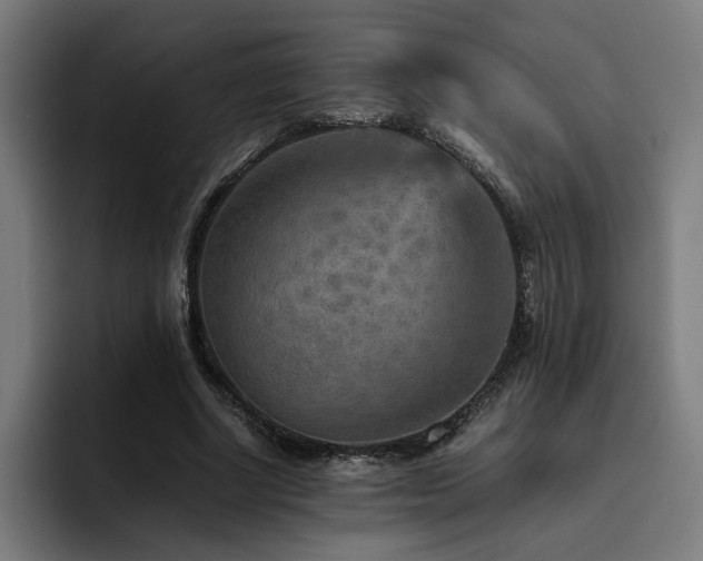 X0000093510634200710121532
